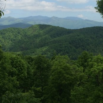 Turning Leaf Tree Service - Tree Services Near Me Turning Leaf Tree Service - Tree Services Near Me