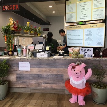Infini-Tea - Counter - Coffee & Tea Near Me - Falls Church, Virginia