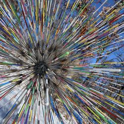 Silverwood Park - Art