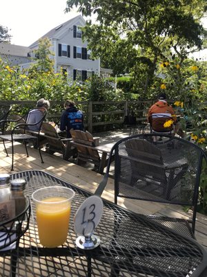 The Flying Fish by null