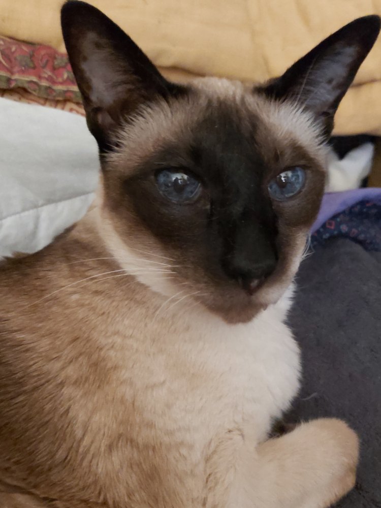 KELLY’S SURGICAL UNIT Updated November 2024 53 Photos & 136 Reviews