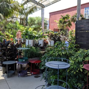 Flora Grubb Gardens - Nurseries & Gardening Near Me - San Francisco, California
