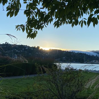 Acqua Hotel - Just part of the view from the junior suite. - Hotels Near Me - Mill Valley, California