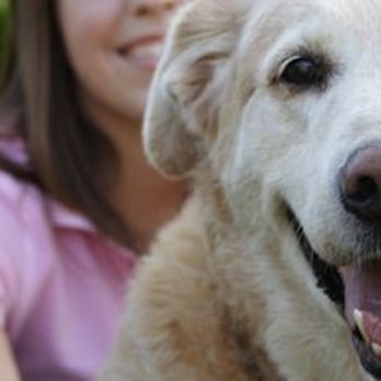 Lucy's Dream Pet Sitting - Pet Sitting Near Me Lucy's Dream Pet Sitting - Pet Sitting Near Me
