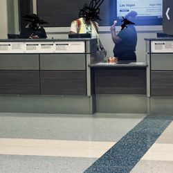 Frontier - Is this the business model