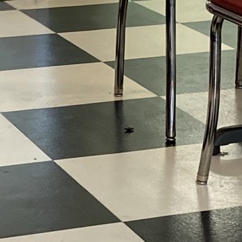 Boomerang Diner - Cockroach stuck upside down and moving around the entire meal. - Diners Near Me - Bartlesville, Oklahoma