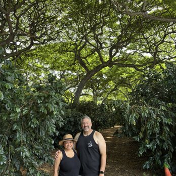 Island Sun Coffee - One view of Island Sun Coffee property - Attraction Farms Near Me - Kailua-Kona, Hawaii Island Sun Coffee - One view of Island Sun Coffee property - Attraction Farms Near Me - Kailua-Kona, Hawaii