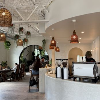 Palomino Coffee - Coffee Roasteries Near Me - Austin, Texas