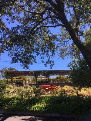 Martinelli Vineyards & Winery by null