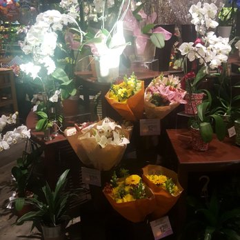 Safeway - Flowers! - Grocery Near Me - Lincoln, California Safeway - Flowers! - Grocery Near Me - Lincoln, California