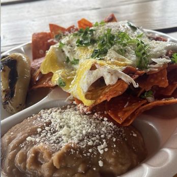 Lolly’s Tamales - Chilaquiles plate - Caterers Near Me Lolly’s Tamales - Chilaquiles plate - Caterers Near Me