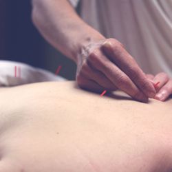 Green Lake Health Center - Green Lake Health Center - Massage & Acupuncture