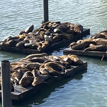 PIER 39 - Shopping Centers Near Me - San Francisco, California