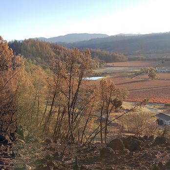 Reverie II - Wineries Near Me - Calistoga, California