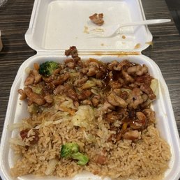 Teriyaki chicken meal with rice. Teriyaki chicken meal with rice.