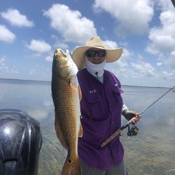 Pirates of the Bay Charters - Fish