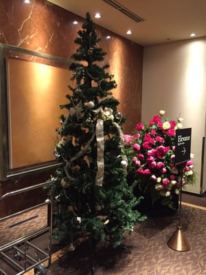 Hotel Villa Fontaine Grand Tokyo-Roppongi by null