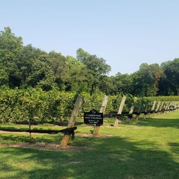 Curran Alexander Vineyards - rows of grape vines - Wine Tasting Room Near Me - Lexington, North Carolina Curran Alexander Vineyards - rows of grape vines - Wine Tasting Room Near Me - Lexington, North Carolina