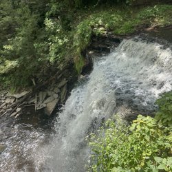 Great Falls - The waterfalls