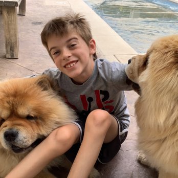 A Dog's World - Pet Groomers Near Me - Littleton, Colorado A Dog's World - Pet Groomers Near Me - Littleton, Colorado