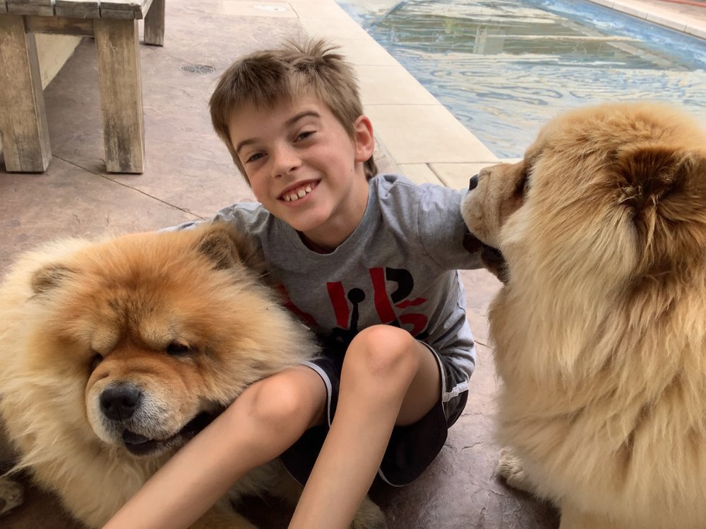 A DOG’S WORLD with reviews Updated September 2024 47 Photos & 35