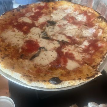 Molto Vino - Burrata pizza - Wine Bars Near Me - Babylon, New York