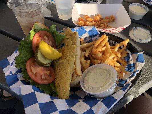 Thirsty Whale by null