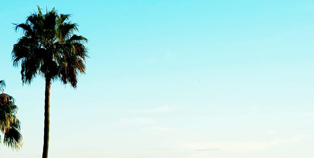 Law Office of Andrea R Herman PC - disability attorney in Long Beach, CA