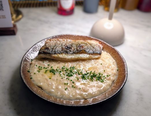 ONDO Jersey City by null