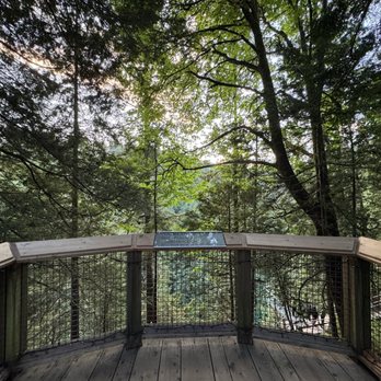 Capilano Suspension Bridge Park - Parks Near Me - North Vancouver, British Columbia