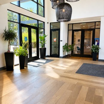 Kelly Green - Lobby enhanced with interior plants that create a fresh, welcoming first impression. - Indoor Landscaping Near Me - Seattle, Washington Kelly Green - Lobby enhanced with interior plants that create a fresh, welcoming first impression. - Indoor Landscaping Near Me - Seattle, Washington