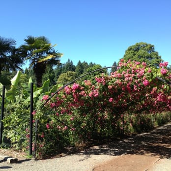 Point Defiance Park - Rose garden. - Parks Near Me - Tacoma, Washington