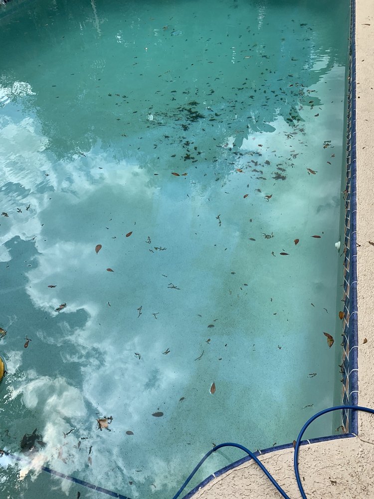 PINCH A PENNY POOL PATIO SPA 311 Clearwater Largo Rd N, Largo