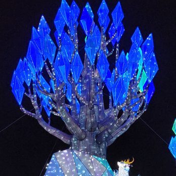 Franklin Park Zoo - Boston Lights 2023 @ Franklin Park Zoo - Zoos Near Me - Boston, Massachusetts Franklin Park Zoo - Boston Lights 2023 @ Franklin Park Zoo - Zoos Near Me - Boston, Massachusetts