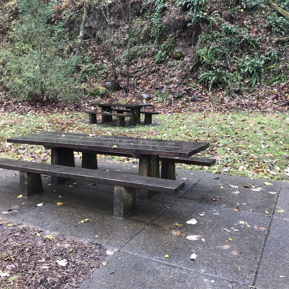 Guy W Talbot State Park - Bench area - Parks Near Me - Corbett, Oregon