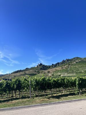 Domäne Wachau by null