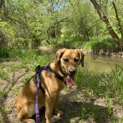 Powder Mills Park