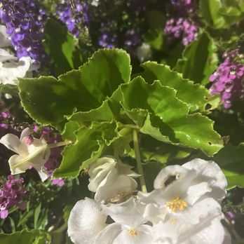 The Bridewell Tavern - Flowers in the patio area. - American Near Me - Burr Ridge, Illinois