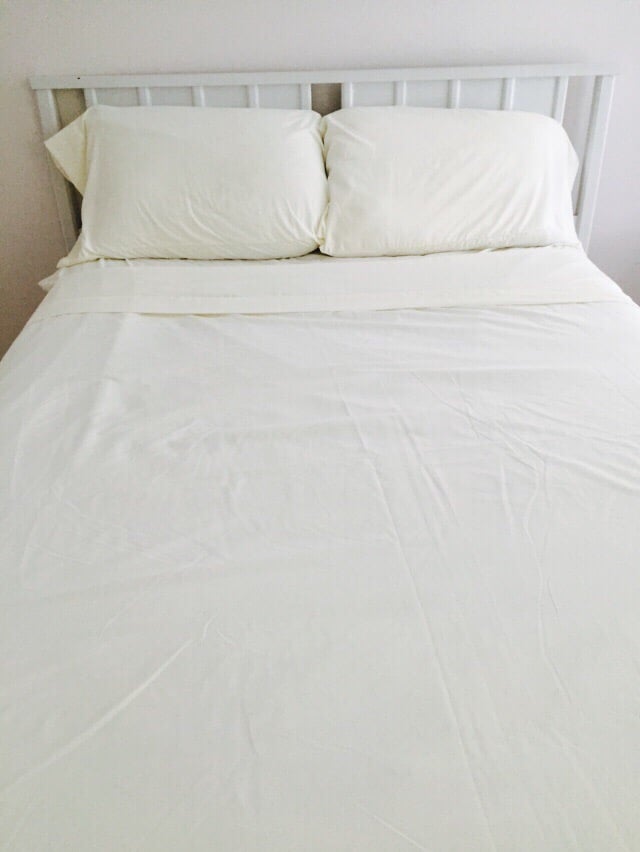Sheets Surf & More Logo