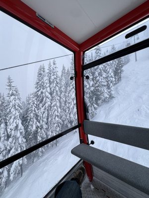 Crystal Mountain Resort by null