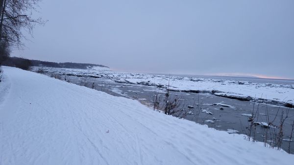 Tony Knowles Coastal Trail by null