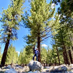 Mammoth Lakes Welcome Center