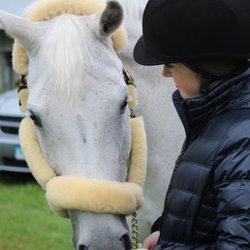Shallowbrook Equestrian Center