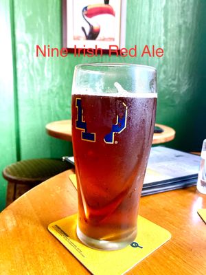 Nine Irish Brothers Lafayette by null