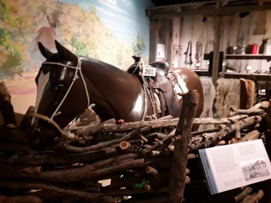 Sigler Western Museum by null