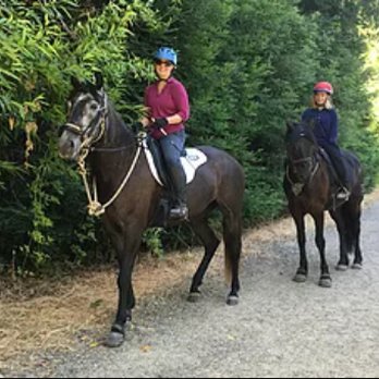 Karuna Stables - Horseback Riding Near Me - Santa Rosa, California Karuna Stables - Horseback Riding Near Me - Santa Rosa, California