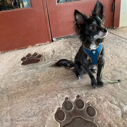 My boy waiting for his pupuchino on the outdoor patio.