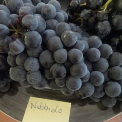 Mas Daumas Gassac