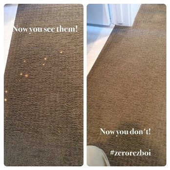 Zerorez Boise - Carpet Cleaning Near Me - Boise, Idaho Zerorez Boise - Carpet Cleaning Near Me - Boise, Idaho