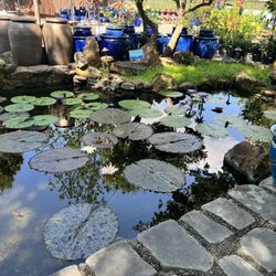 Nelson Water Gardens & Nursery